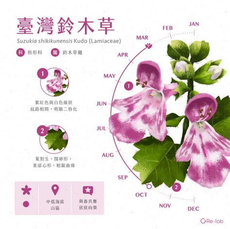 朱槿 花語|116種花語介紹，最完整花語大全